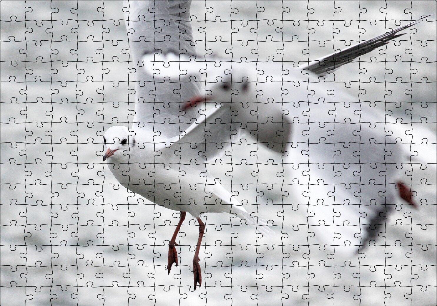 Deniz ve Martılar Puzzle Yapboz MDF Ahşap 255 Parça 34 cm X 49 cm