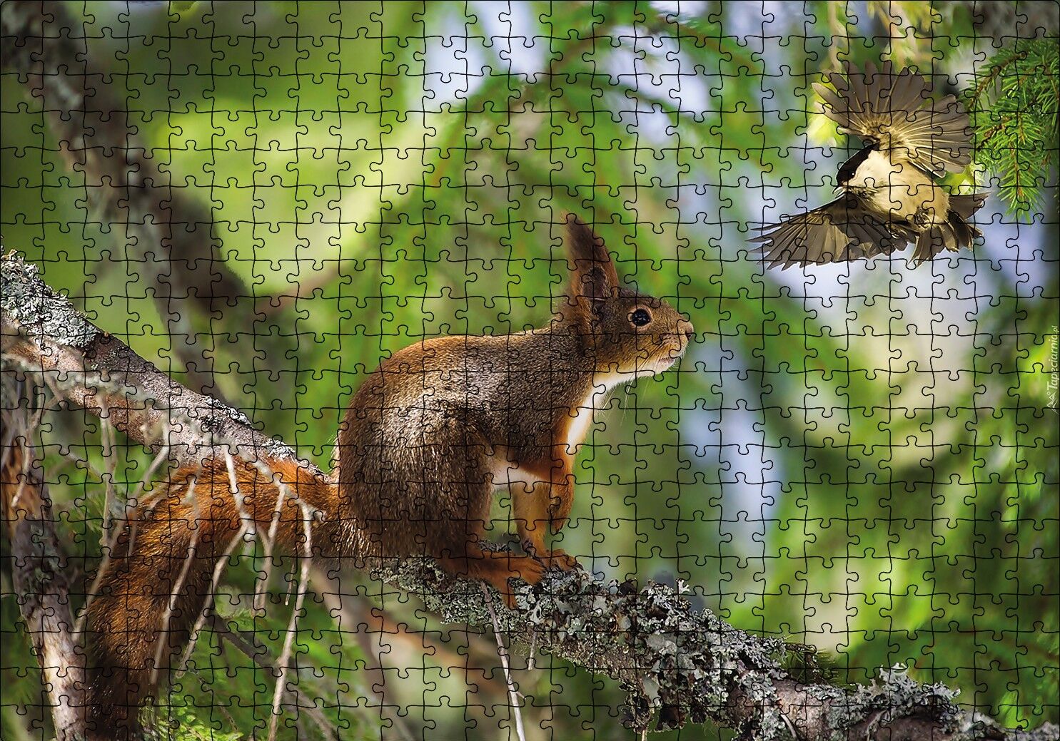 Sincap Kuş Muhabbeti Puzzle Yapboz MDF Ahşap 500 Parça 49 cm X 68 cm
