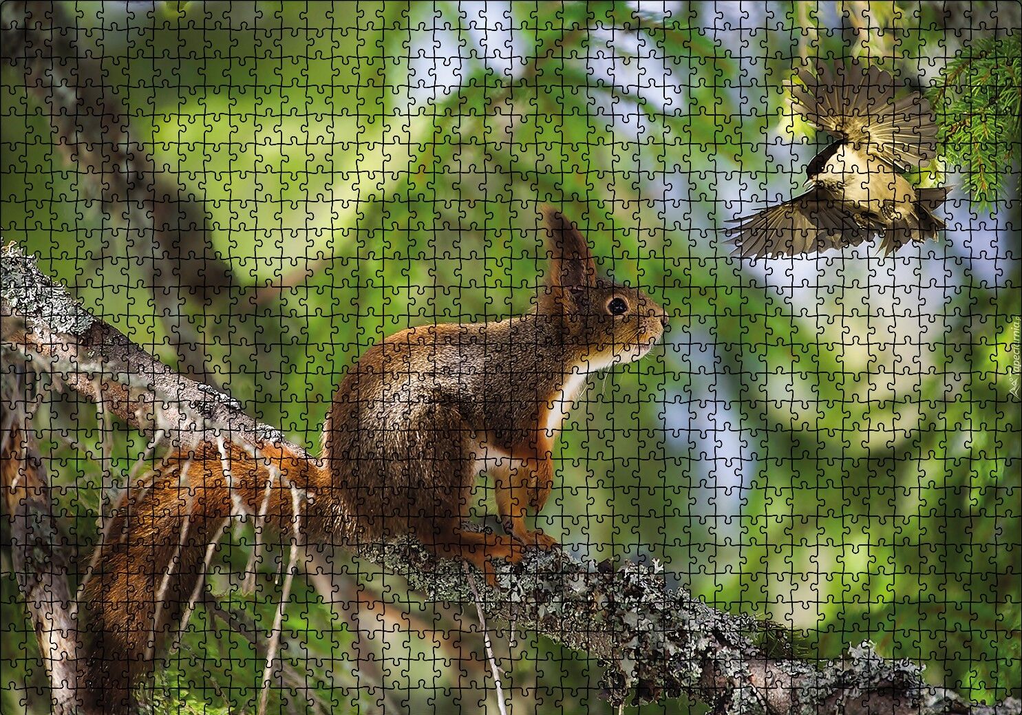 Sincap Kuş Muhabbeti Puzzle Yapboz MDF Ahşap 1000 Parça 49 cm X 68 cm