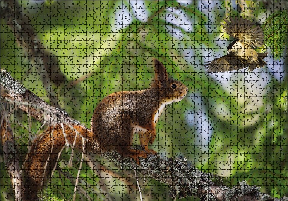 Sincap Kuş Muhabbeti Puzzle Yapboz MDF Ahşap 1000 Parça 49 cm X 68 cm