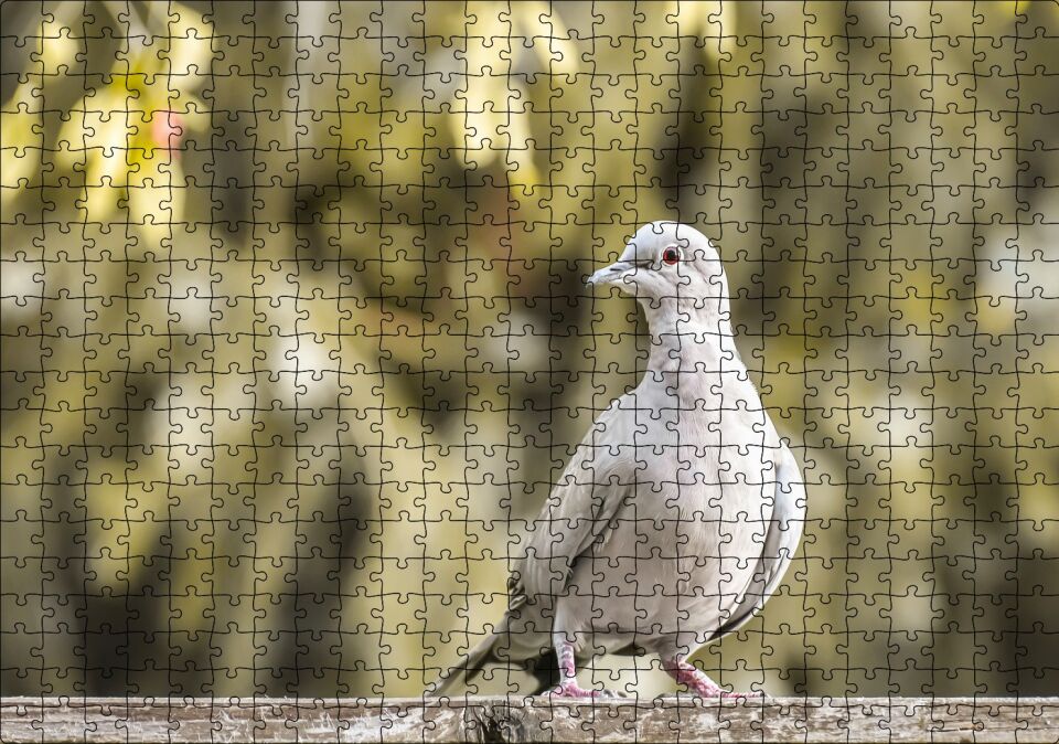 Kütük Üzerinde Gri Kumru Flu Arka Plan Puzzle Yapboz MDF Ahşap 500 Parça 49 cm X 68 cm