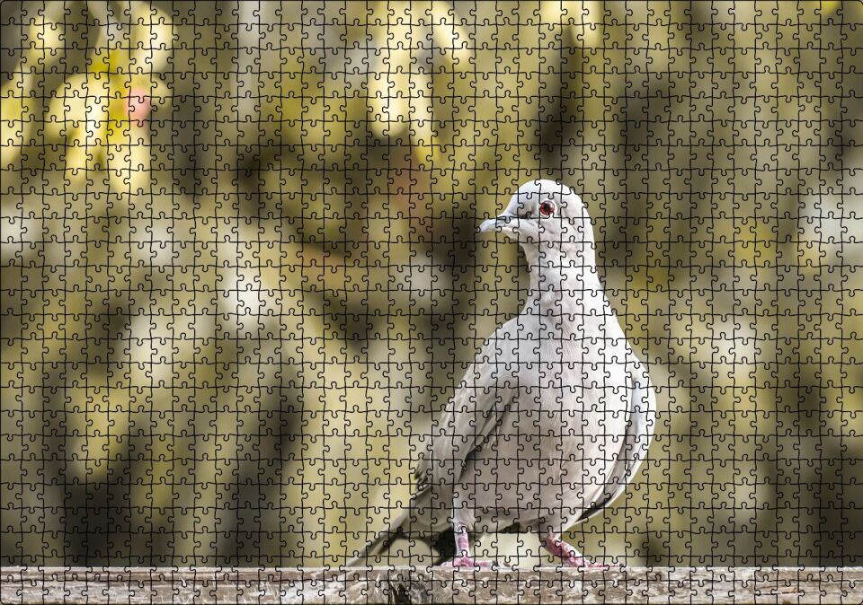 Kütük Üzerinde Gri Kumru Flu Arka Plan Puzzle Yapboz MDF Ahşap 1000 Parça 49 cm X 68 cm