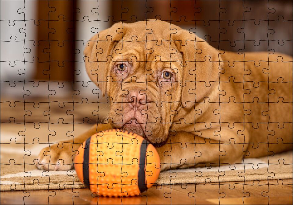 Kahverengi Boxer Yavrusu ve Turuncu Topu Puzzle Yapboz MDF Ahşap 120 Parça 24 cm X 34 cm
