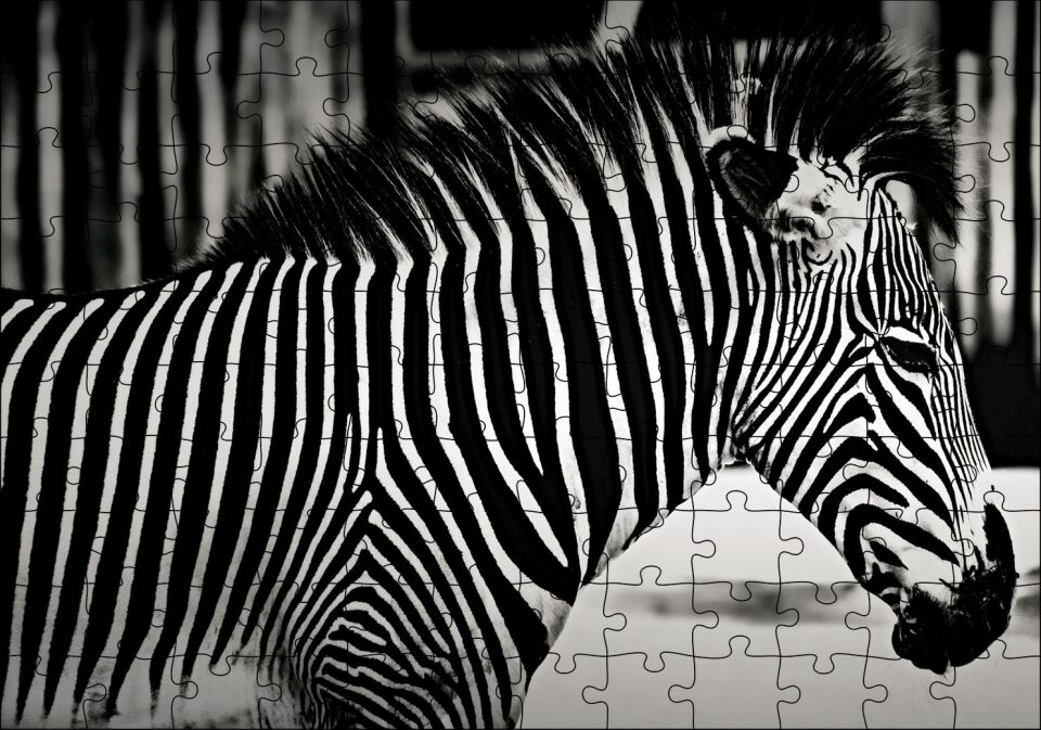 Benzersiz Deseniyle Zebra Yakın Çekim Puzzle Yapboz MDF Ahşap 120 Parça 24 cm X 34 cm