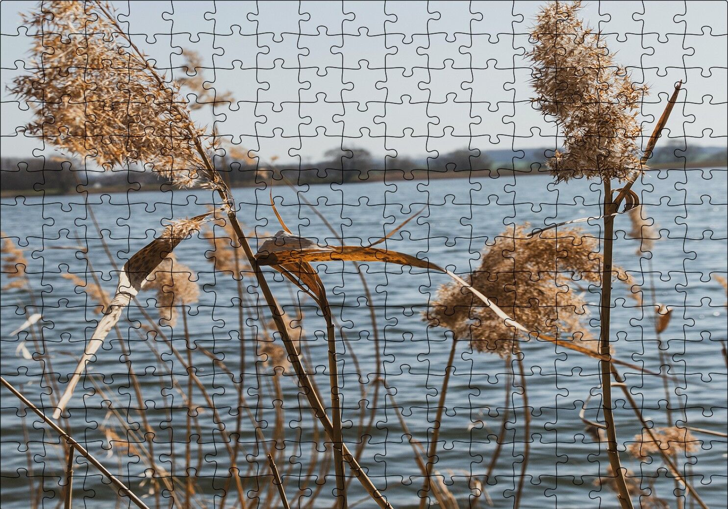 Göl Kıyısında Sazlar Puzzle Yapboz MDF Ahşap 255 Parça 34 cm X 49 cm