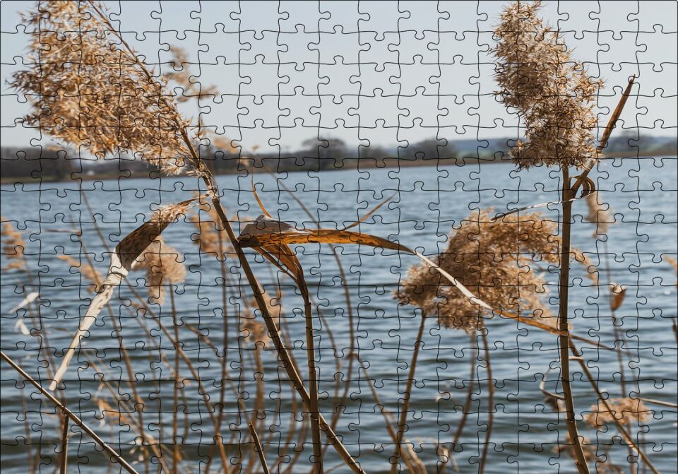 Göl Kıyısında Sazlar Puzzle Yapboz MDF Ahşap 255 Parça 34 cm X 49 cm