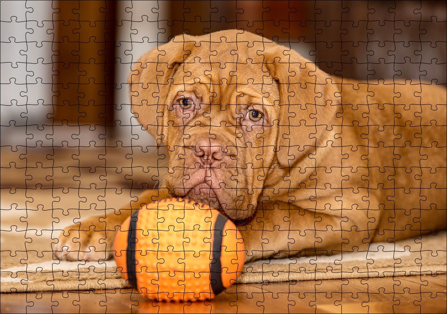 Kahverengi Boxer Yavrusu ve Turuncu Topu Puzzle Yapboz MDF Ahşap 255 Parça 34 cm X 49 cm