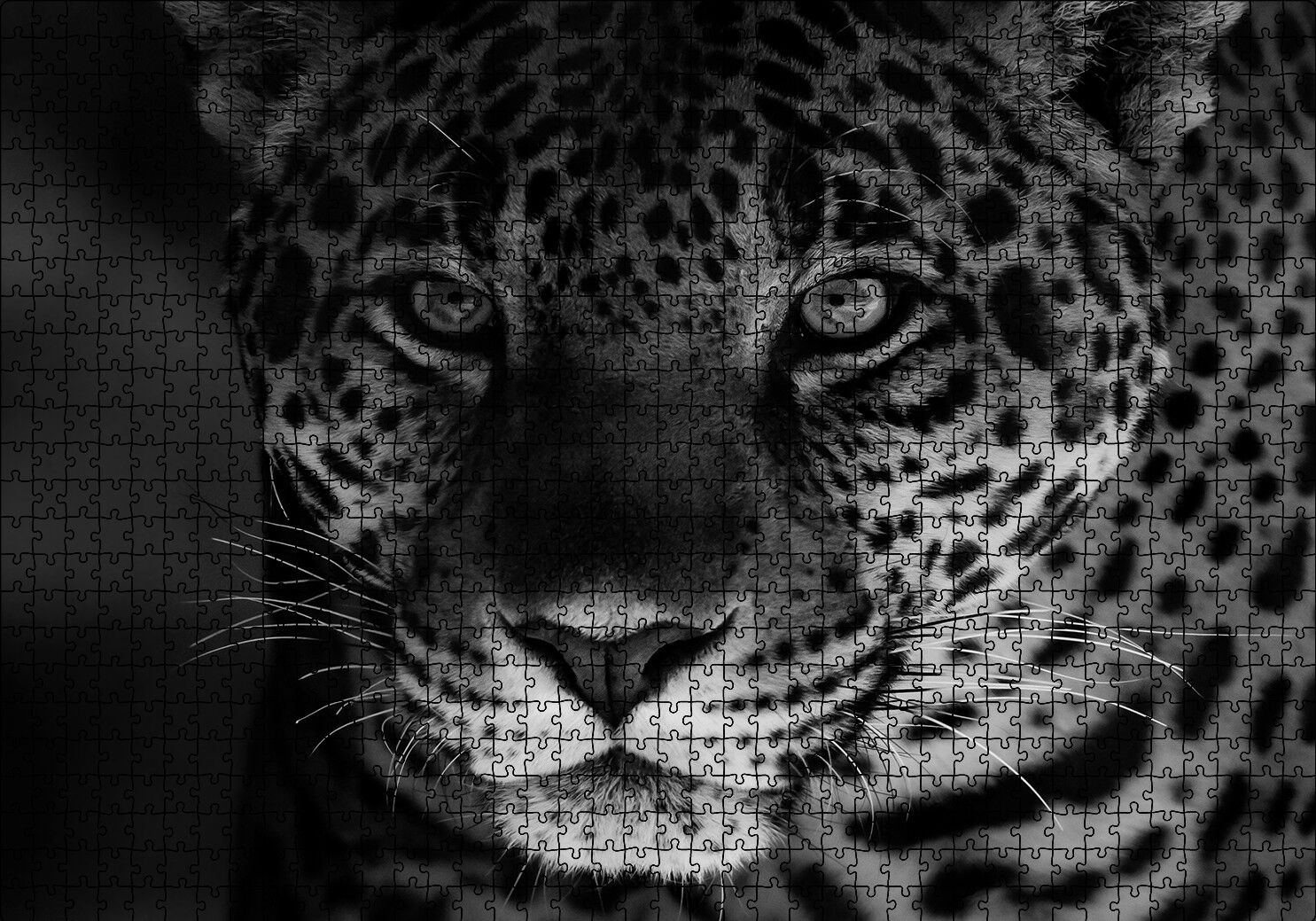 Siyah Beyaz Jaguar Puzzle Yapboz MDF Ahşap 1000 Parça 49 cm X 68 cm