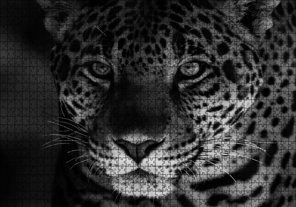 Siyah Beyaz Jaguar Puzzle Yapboz MDF Ahşap 1000 Parça 49 cm X 68 cm