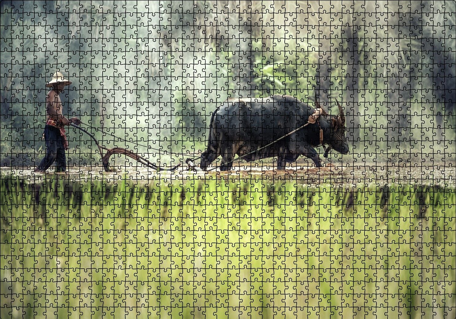 Pirinç Tarlası Süren Vietnamlı Puzzle Yapboz MDF Ahşap 1000 Parça 49 cm X 68 cm
