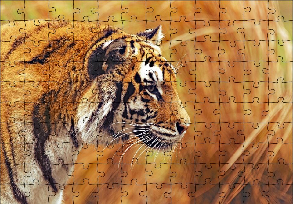 Bengal Kaplanı Puzzle Yapboz MDF Ahşap