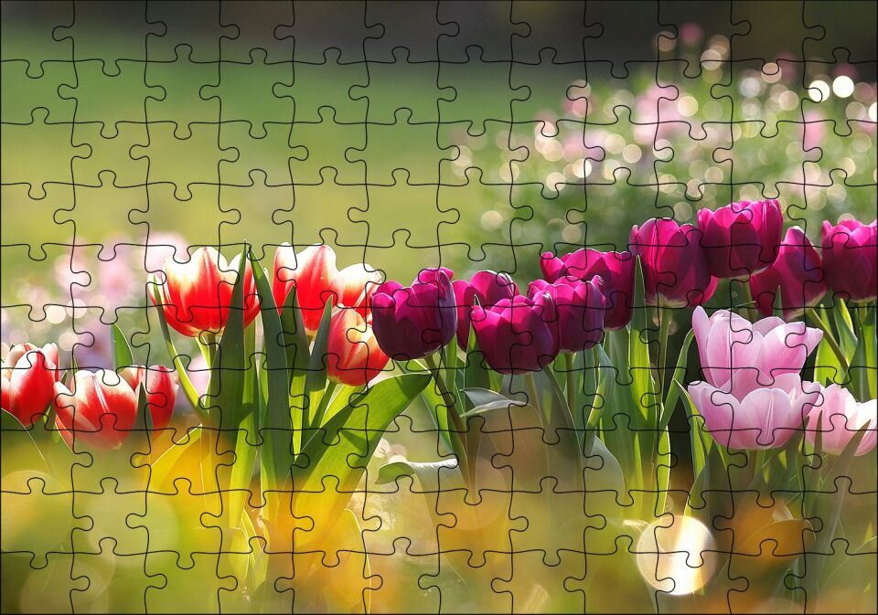 Gün Işığı Renkli Lale Bahçesi Puzzle Yapboz MDF Ahşap