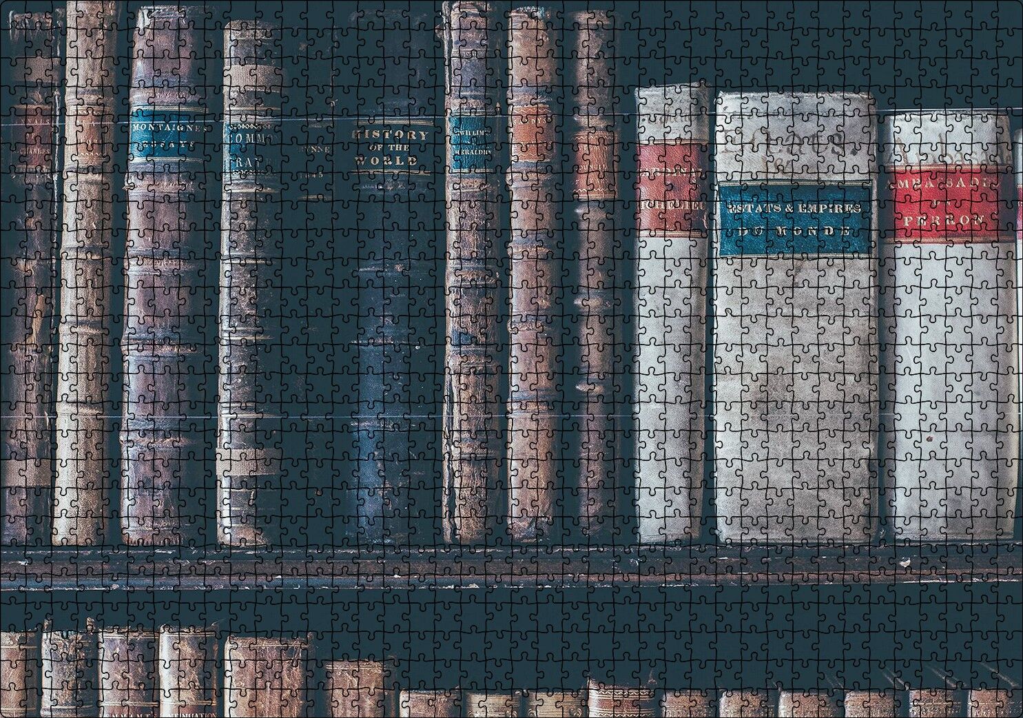 Kitaplıkta Deri Kaplı Kitap Görseli Puzzle Yapboz MDF Ahşap 1000 Parça 49 cm X 68 cm
