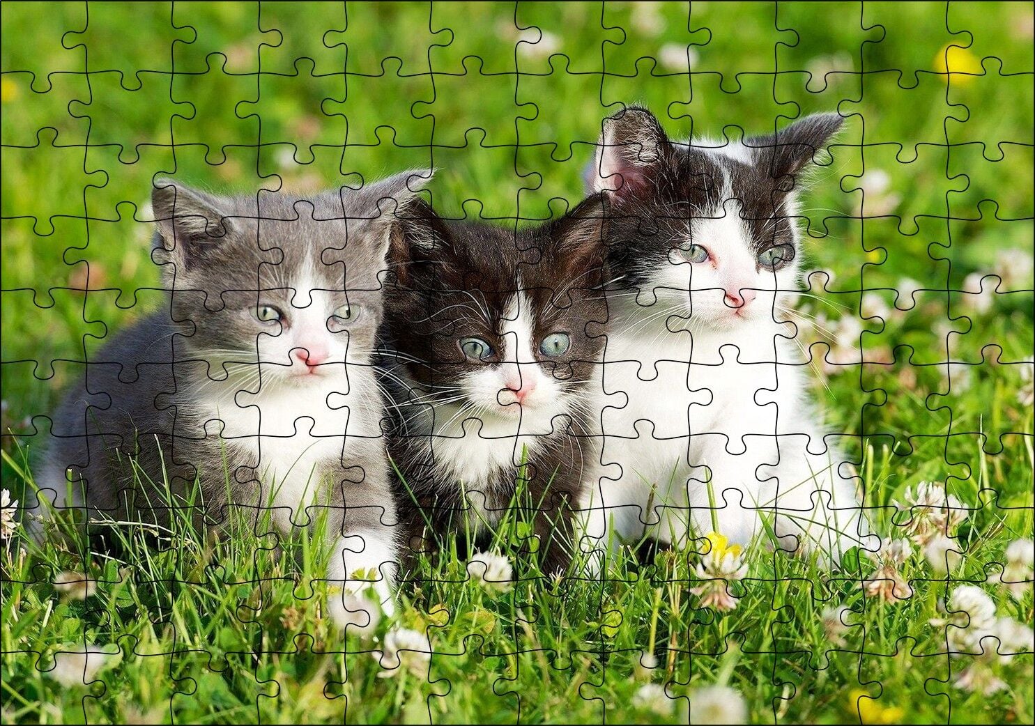 Çayırda Üç Yavru Kedi Puzzle Yapboz MDF Ahşap 120 Parça 24 cm X 34 cm