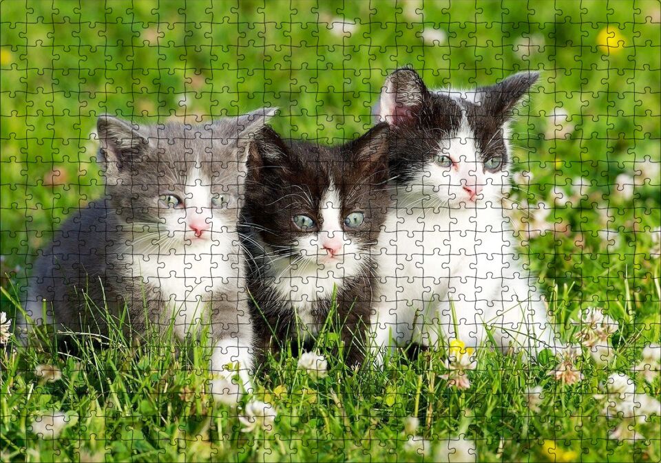 Çayırda Üç Yavru Kedi Puzzle Yapboz MDF Ahşap 500 Parça 49 cm X 68 cm