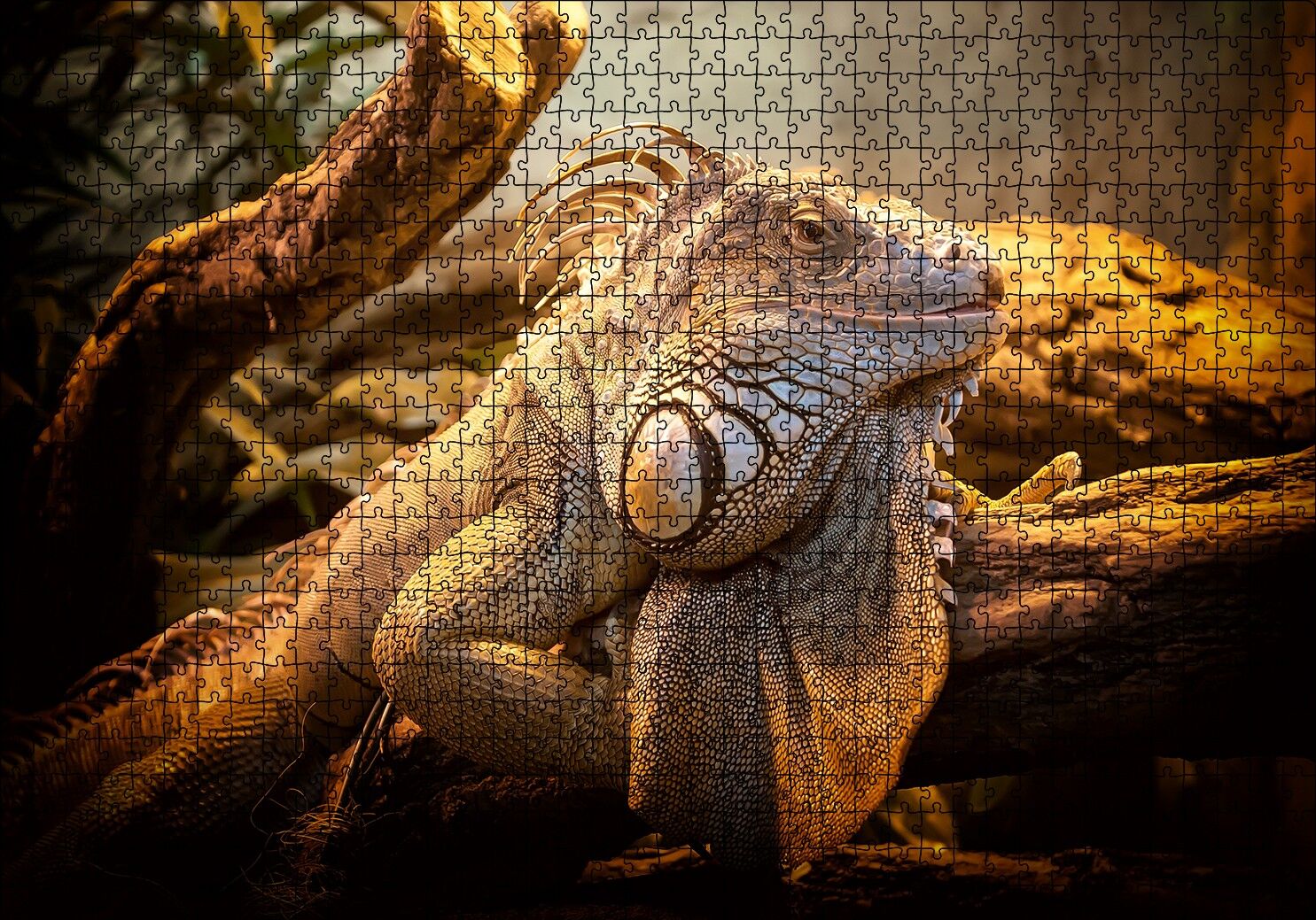 Dev Kertenkele ve Güneş Işıkları Puzzle Yapboz MDF Ahşap 1000 Parça 49 cm X 68 cm