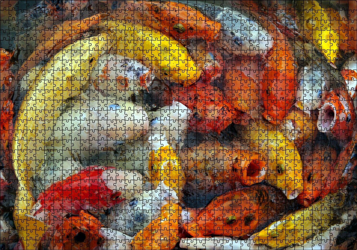 Beslenmek İçin Bekleyen Koi Balıkları Puzzle Yapboz MDF Ahşap 1000 Parça 49 cm X 68 cm