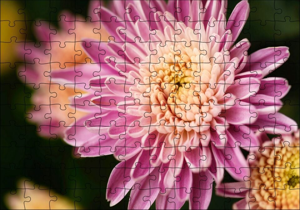 Sarı ve Pembe Çiçek Yakın Çekim Flu Arka Plan Puzzle Yapboz MDF Ahşap