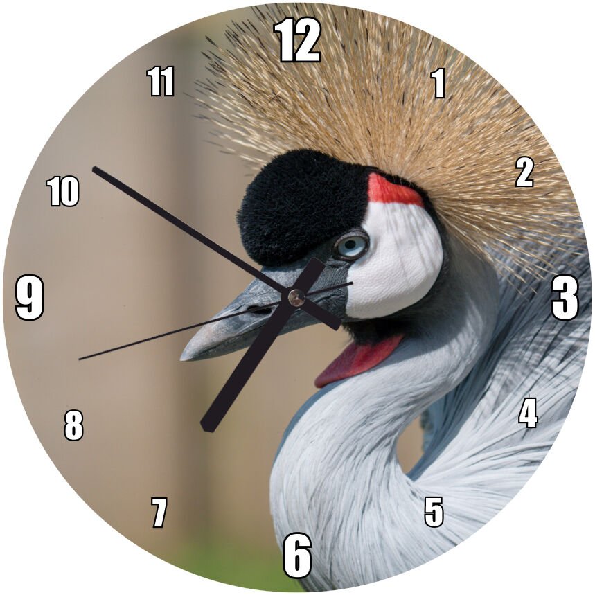 Gri Taçlı Turna Kuşu Görseli Mdf Ahşap Duvar Saati