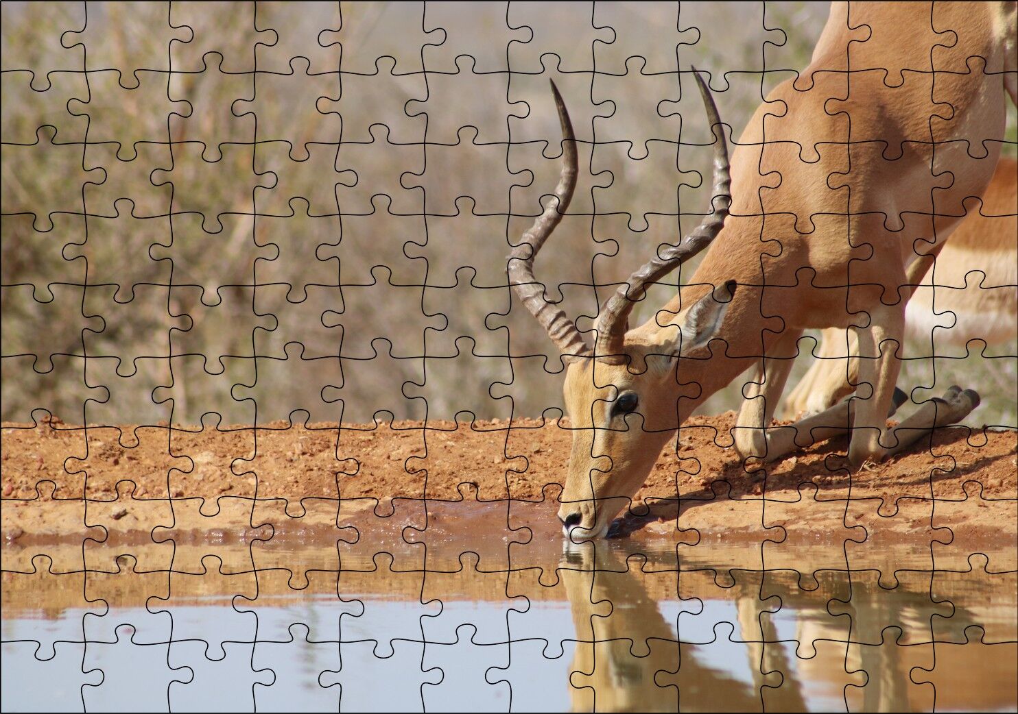 Savanada Diz Çökmüş Su İçen İmpala Puzzle Yapboz MDF Ahşap