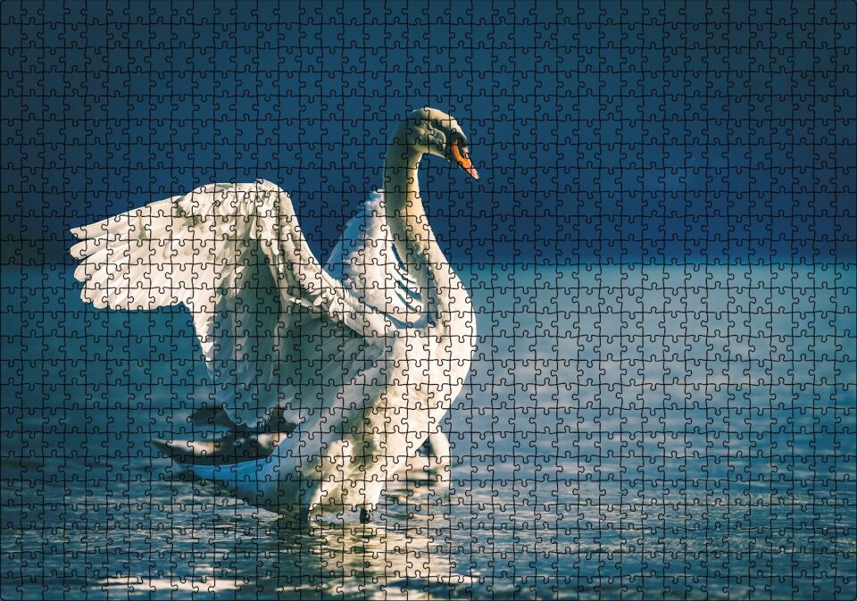 Gölde Kanatlarını Çırpan Beyaz Kuğu Puzzle Yapboz MDF Ahşap 1000 Parça 49 cm X 68 cm