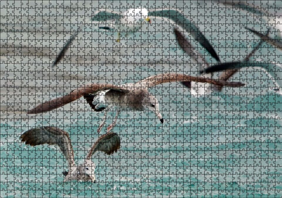 Martılar ve Dalgalı Deniz Arka Plan Puzzle Yapboz MDF Ahşap 1000 Parça 49 cm X 68 cm