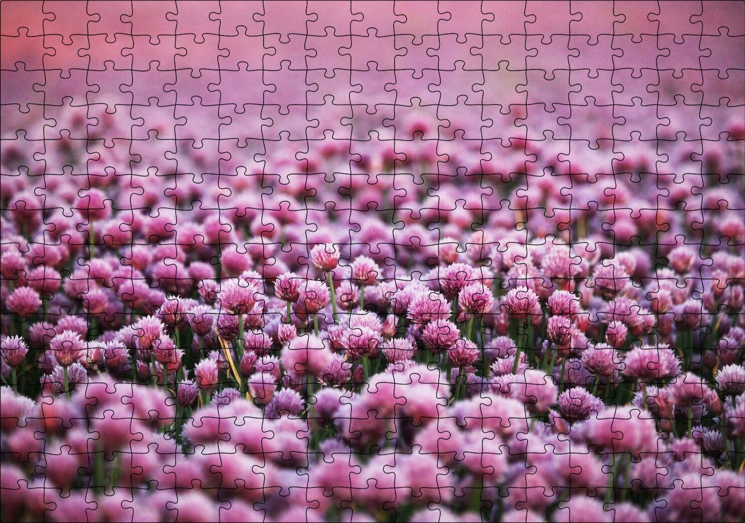 Mor Renkli Tomurcuk Çiçekler Puzzle Yapboz MDF Ahşap 255 Parça 34 cm X 49 cm