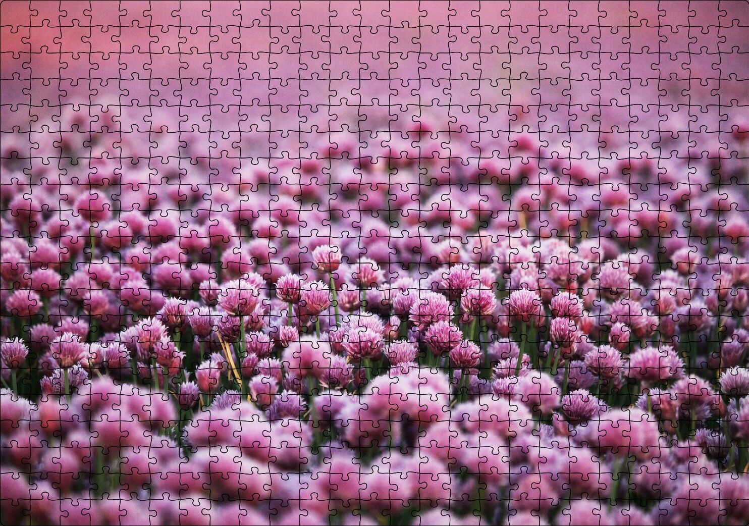Mor Renkli Tomurcuk Çiçekler Puzzle Yapboz MDF Ahşap 500 Parça 49 cm X 68 cm