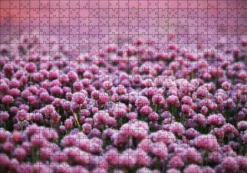 Mor Renkli Tomurcuk Çiçekler Puzzle Yapboz MDF Ahşap 500 Parça 49 cm X 68 cm