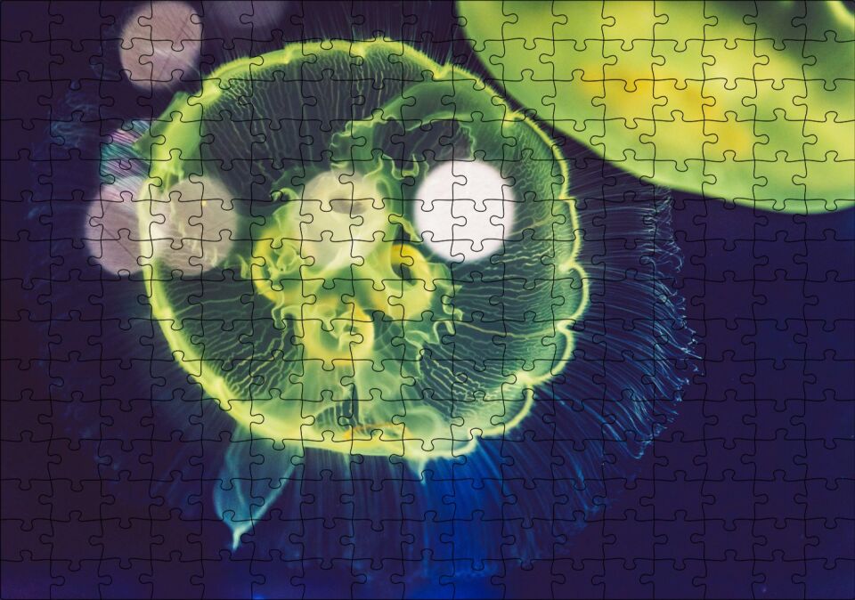 Muhteşem Güzellikte Mavi Yeşil Denizanası Puzzle Yapboz MDF Ahşap 255 Parça 34 cm X 49 cm