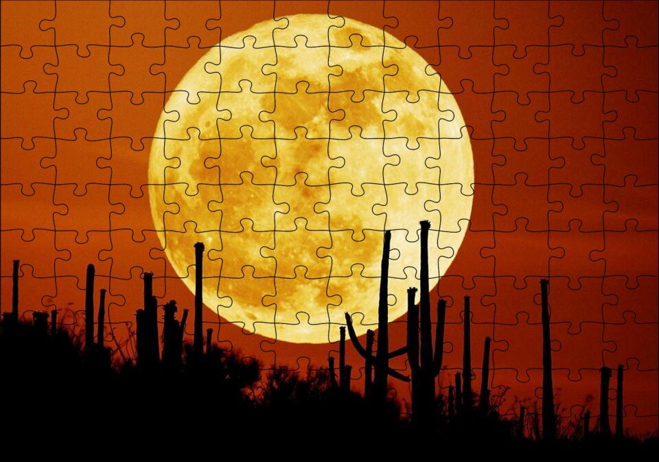 Arizona'da Kaktüsler ve Arkada Muhteşem Süper Ay Puzzle Yapboz MDF Ahşap