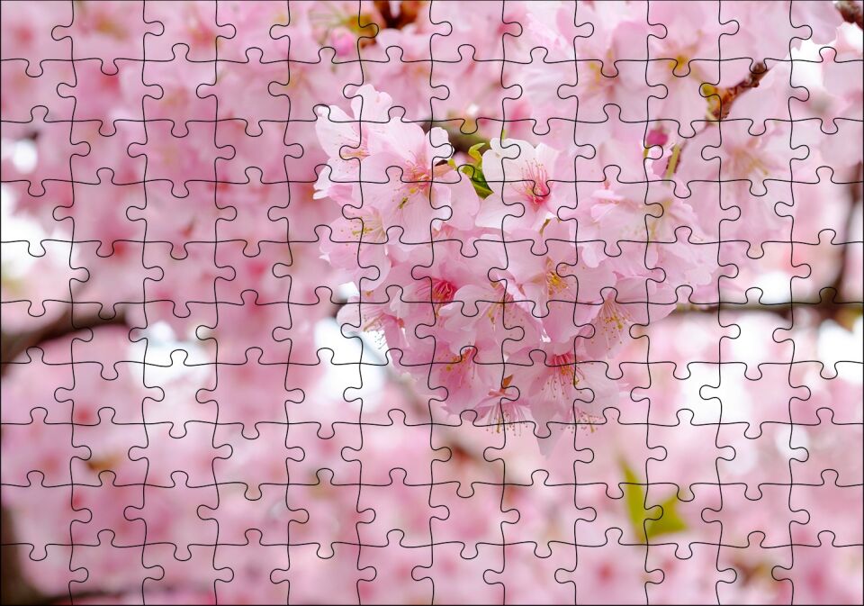 Kiraz Çiçeği Görseli Puzzle Yapboz MDF Ahşap