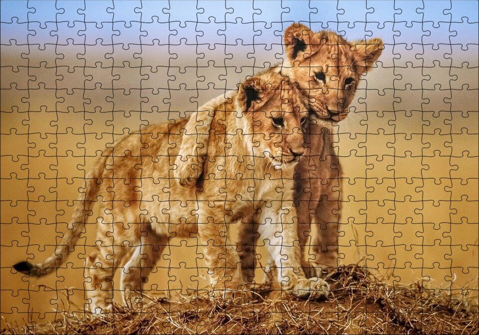Kardeşlik Başkadır Yavru Aslanlar Puzzle Yapboz MDF Ahşap 255 Parça 34 cm X 49 cm