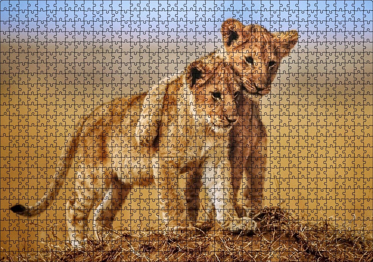 Kardeşlik Başkadır Yavru Aslanlar Puzzle Yapboz MDF Ahşap 1000 Parça 49 cm X 68 cm