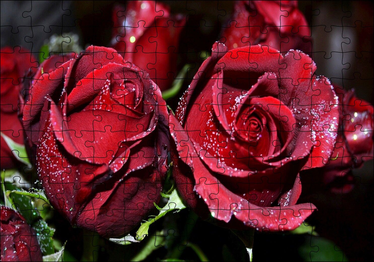 Kırmızı Güller ve Çiy Damlaları Puzzle Yapboz MDF Ahşap