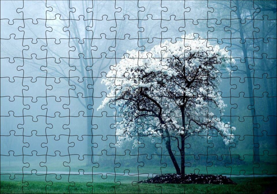 Beyaz Çiçekli Ağaç ve Arkada Sisli Orman Puzzle Yapboz MDF Ahşap
