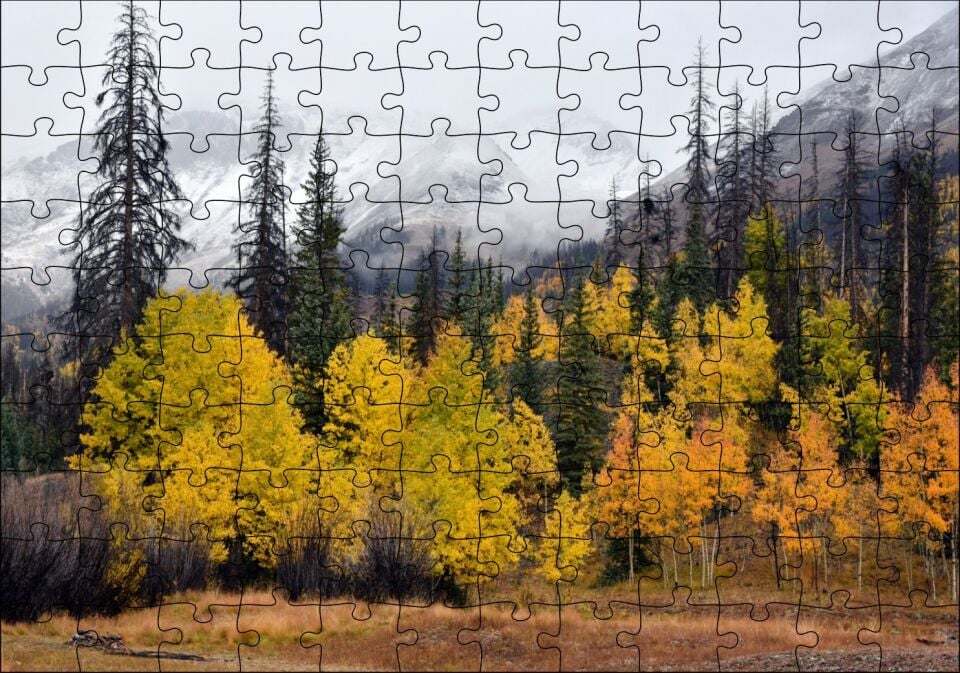 Sonbahar Rengi Ağaçlar ve Arkada Karlı Dağlar Puzzle Yapboz MDF Ahşap