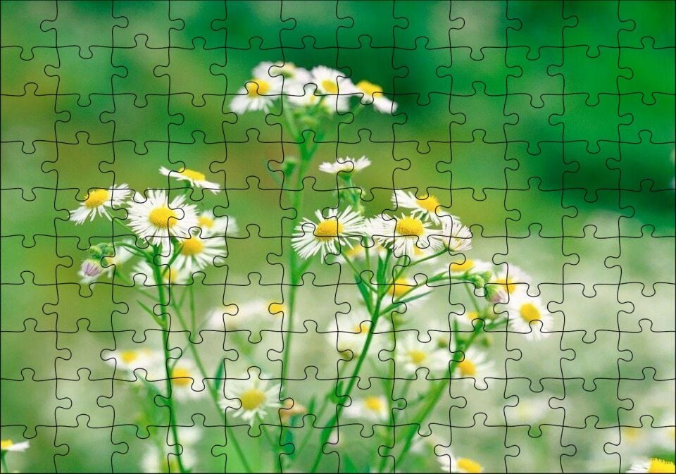 ar Flu Arkaplan Puzzle Yapboz MDF Ahşap