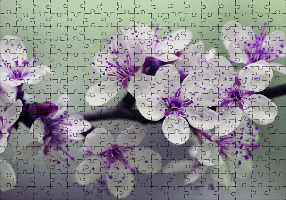 Dalda Kiraz Çiçekleri Puzzle Yapboz MDF Ahşap 255 Parça 34 cm X 49 cm