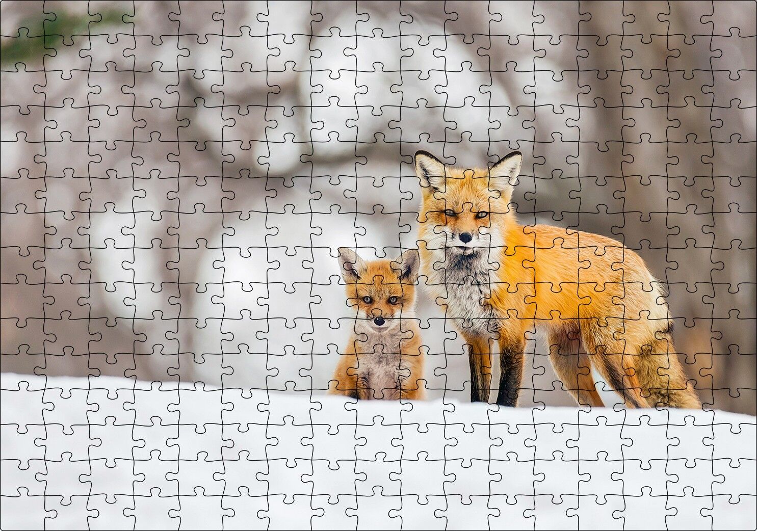 Karlar Üzerinde Kutup Tilkisi ve Yavrusu Puzzle Yapboz MDF Ahşap 255 Parça 34 cm X 49 cm