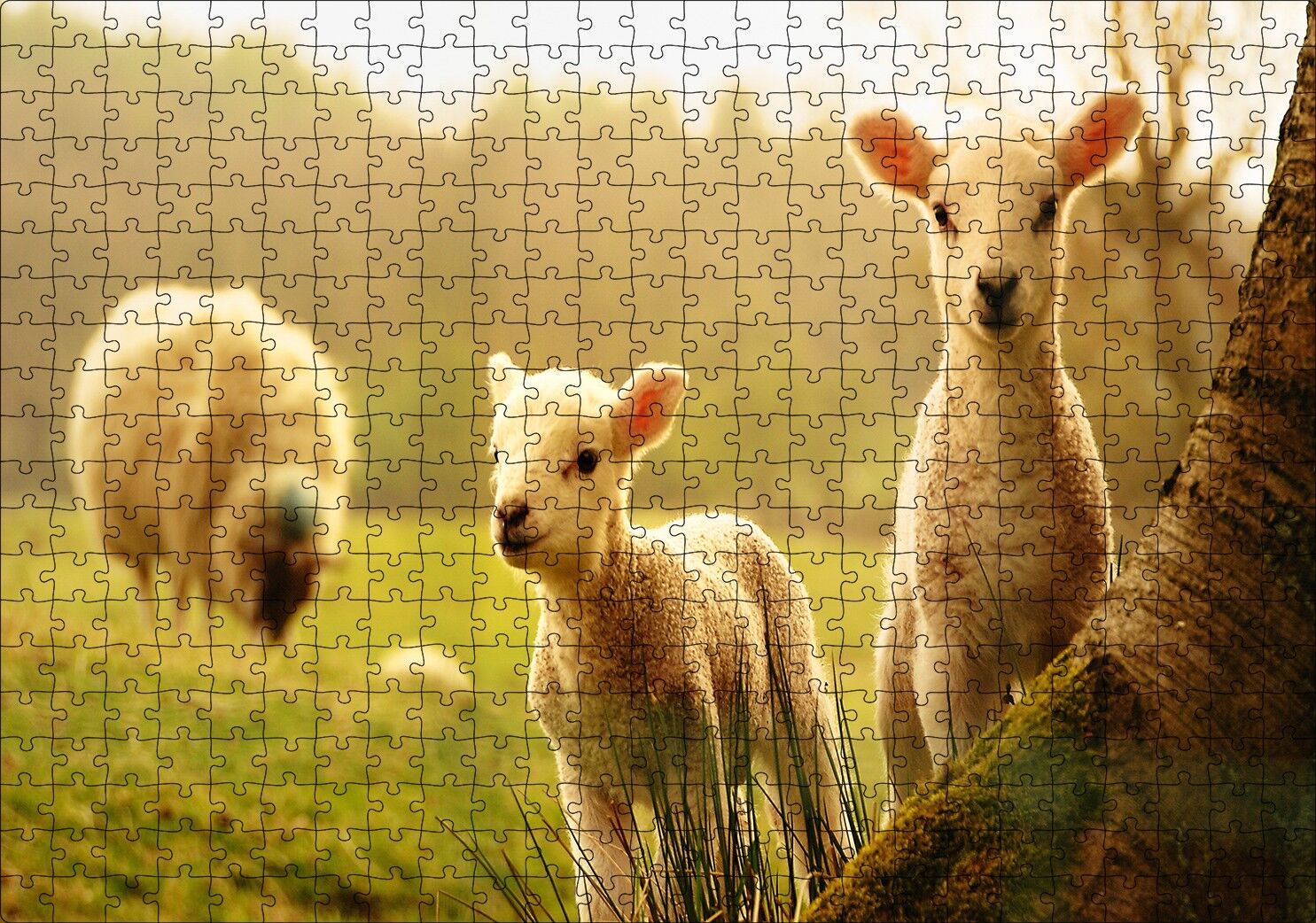 Koyun Kuzular Görseli Puzzle Yapboz MDF Ahşap 500 Parça 49 cm X 68 cm