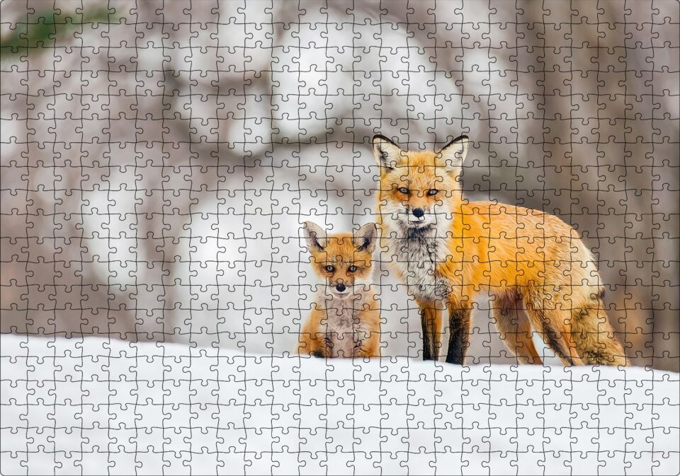 Karlar Üzerinde Kutup Tilkisi ve Yavrusu Puzzle Yapboz MDF Ahşap 500 Parça 49 cm X 68 cm