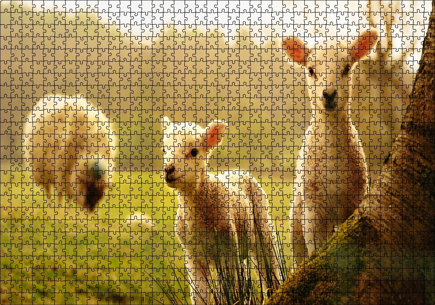 Koyun Kuzular Görseli Puzzle Yapboz MDF Ahşap 1000 Parça 49 cm X 68 cm