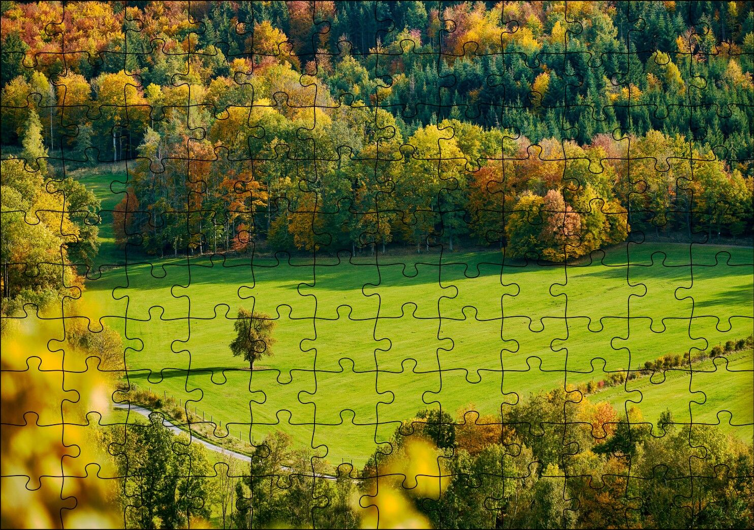 Ormanın Ortasındaki Yemyeşil Arazi ve Yalnız Ağaç Puzzle Yapboz MDF Ahşap 120 Parça 24 cm X 34 cm