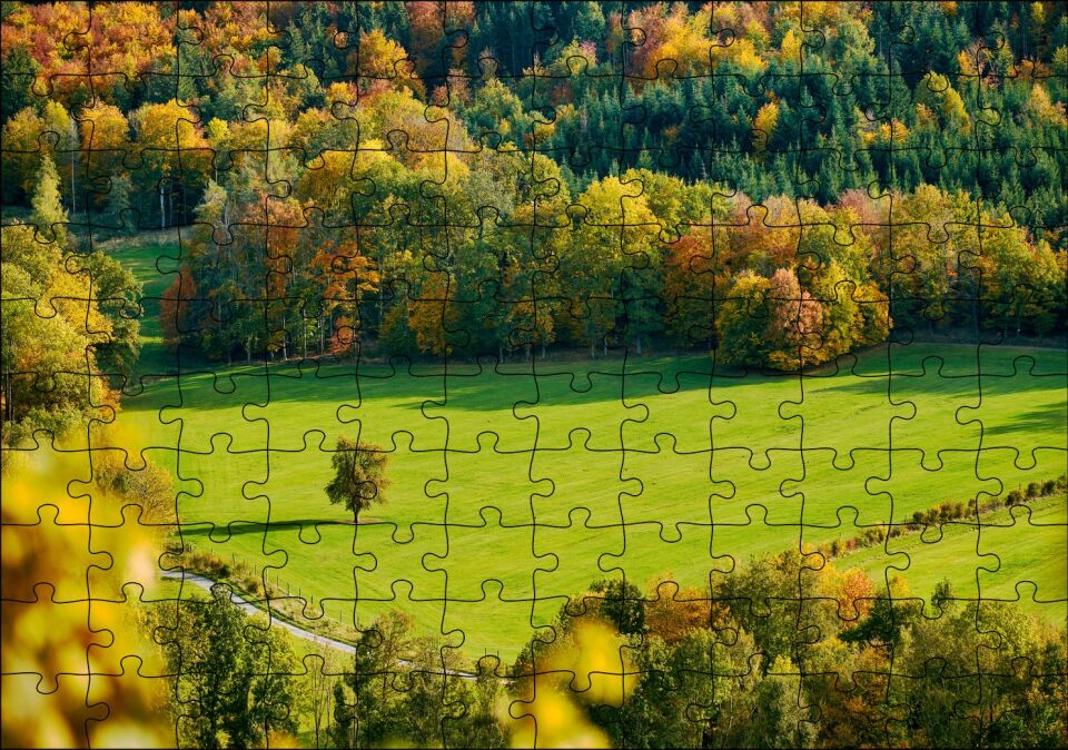 Ormanın Ortasındaki Yemyeşil Arazi ve Yalnız Ağaç Puzzle Yapboz MDF Ahşap 120 Parça 24 cm X 34 cm