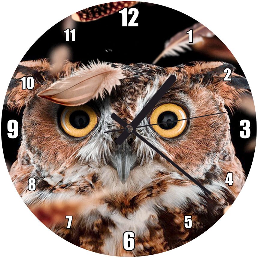 Şaşkın Baykuş Ve Uçuşan Tüyleri Mdf Ahşap Duvar Saati