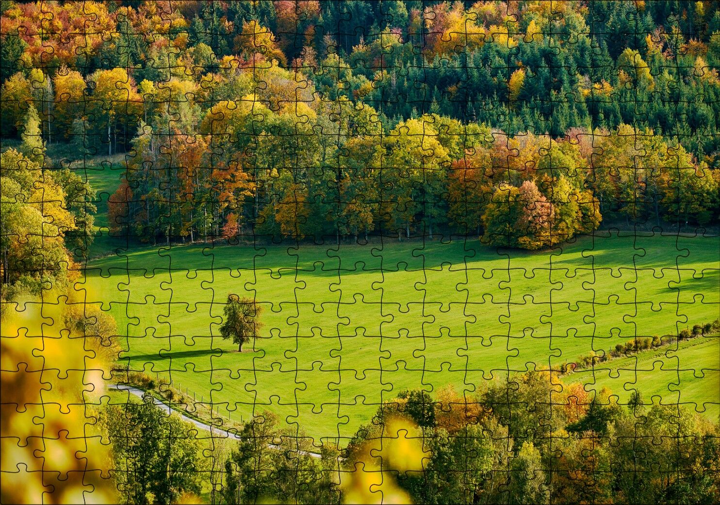 Ormanın Ortasındaki Yemyeşil Arazi ve Yalnız Ağaç Puzzle Yapboz MDF Ahşap 255 Parça 34 cm X 49 cm