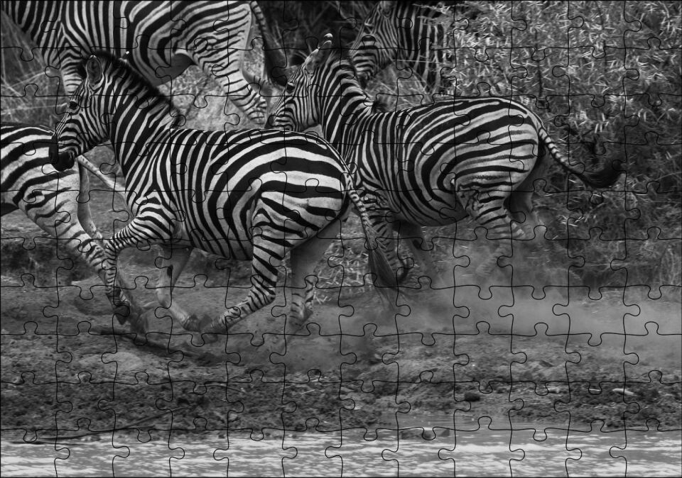 Su Kenarında Kaçan Zebralar Siyah Beyaz Puzzle Yapboz MDF Ahşap