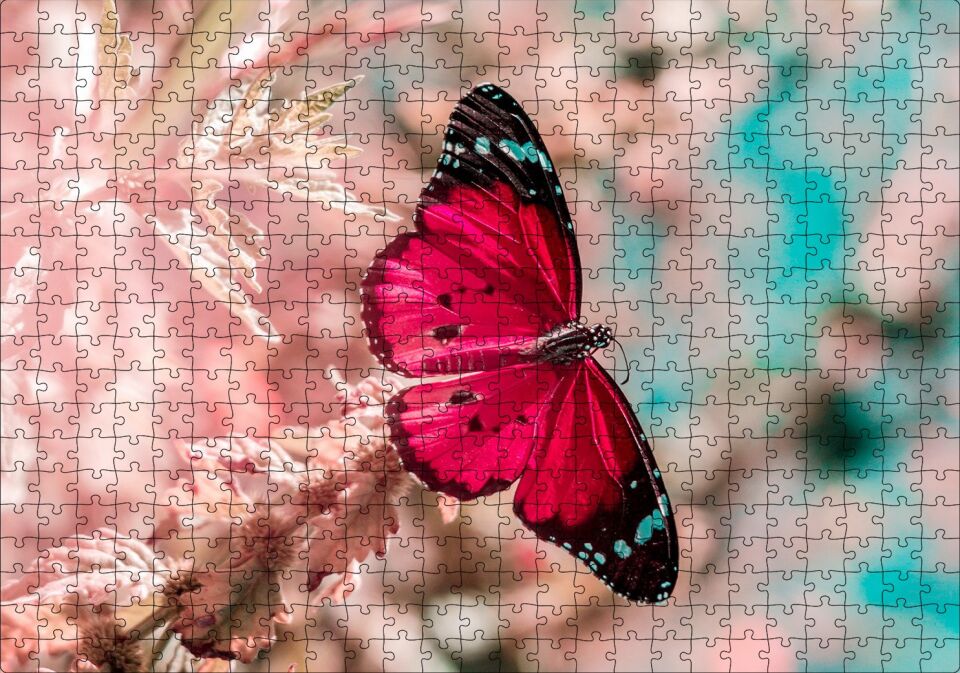 Daldaki Kırmızı Kelebek Yakın Plan Puzzle Yapboz MDF Ahşap 500 Parça 49 cm X 68 cm