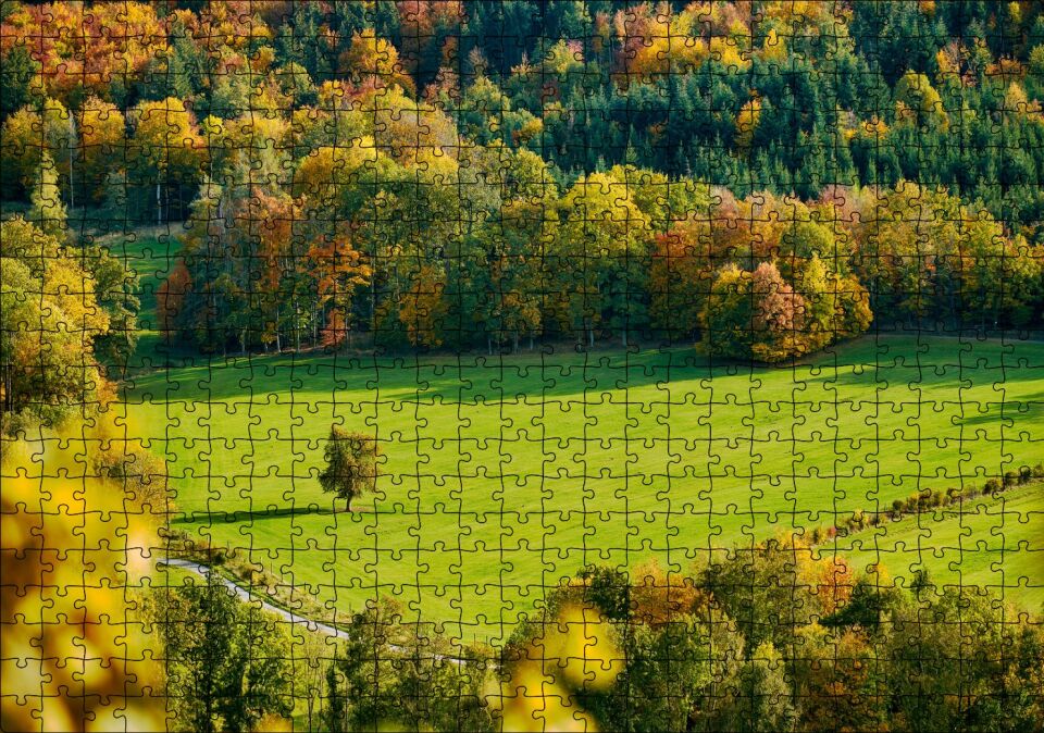 Ormanın Ortasındaki Yemyeşil Arazi ve Yalnız Ağaç Puzzle Yapboz MDF Ahşap 500 Parça 49 cm X 68 cm